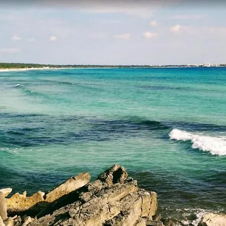 Ideal Mallorca - Son Moleto